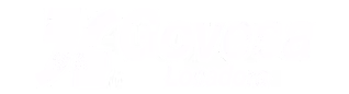 Govesa Locadora